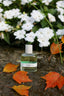 Summer to Fall Perfumes that Stand Out