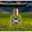 Tartan Moss - Scotland